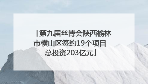 第九届丝博会陕西榆林市横山区签约19个项目 总投资203亿元