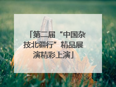第二届“中国杂技北疆行”精品展演精彩上演