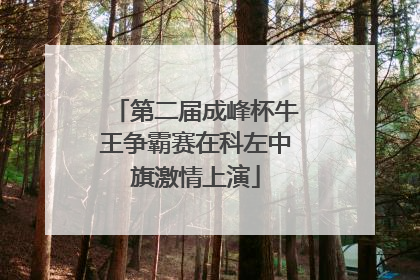 第二届成峰杯牛王争霸赛在科左中旗激情上演