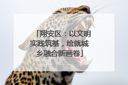 翔安区：以文明实践筑基，绘就城乡融合新画卷