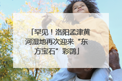 罕见！洛阳孟津黄河湿地再次迎来“东方宝石”彩鹮