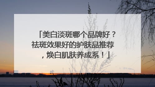 美白淡斑哪个品牌好？祛斑效果好的护肤品推荐，焕白肌肤养成系！