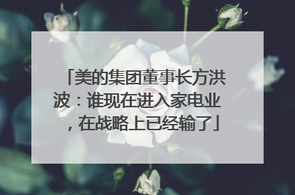 美的集团董事长方洪波：谁现在进入家电业，在战略上已经输了