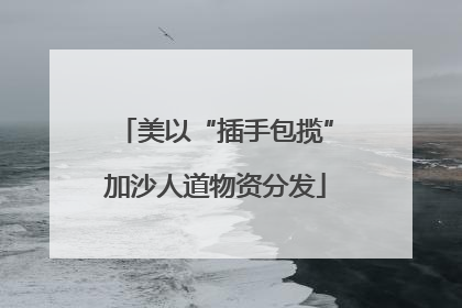 美以“插手包揽”加沙人道物资分发