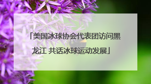 美国冰球协会代表团访问黑龙江 共话冰球运动发展