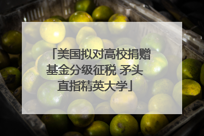 美国拟对高校捐赠基金分级征税 矛头直指精英大学