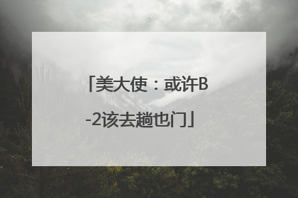 美大使：或许B-2该去趟也门