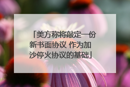 美方称将敲定一份新书面协议 作为加沙停火协议的基础