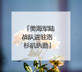 美海军陆战队进驻洛杉矶执勤