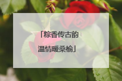粽香传古韵 温情暖桑榆