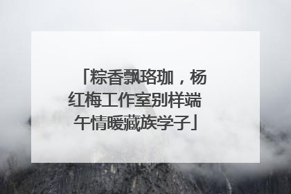 粽香飘珞珈，杨红梅工作室别样端午情暖藏族学子