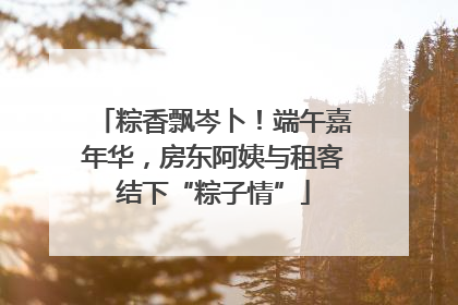 粽香飘岑卜！端午嘉年华，房东阿姨与租客结下“粽子情”