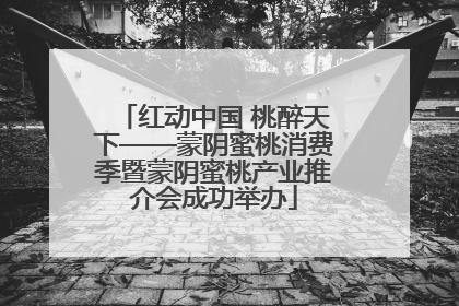 红动中国 桃醉天下——蒙阴蜜桃消费季暨蒙阴蜜桃产业推介会成功举办