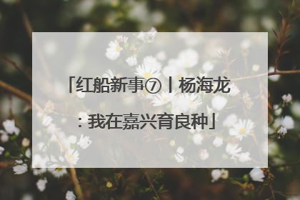 红船新事⑦丨杨海龙：我在嘉兴育良种