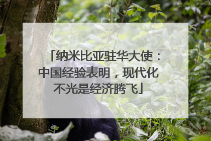 纳米比亚驻华大使：中国经验表明，现代化不光是经济腾飞
