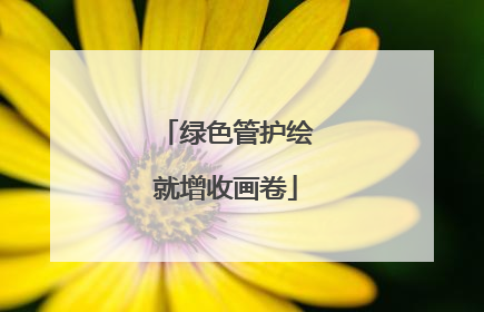 绿色管护绘就增收画卷