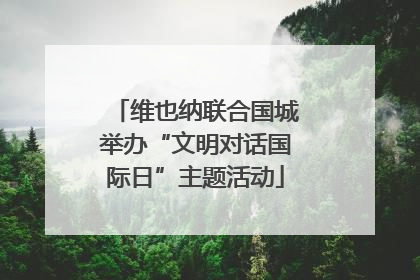 维也纳联合国城举办“文明对话国际日”主题活动