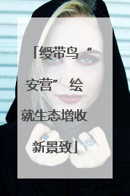 绶带鸟“安营” 绘就生态增收新景致