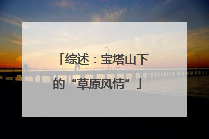 综述：宝塔山下的“草原风情”