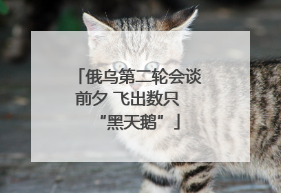 俄乌第二轮会谈前夕 飞出数只 “黑天鹅”