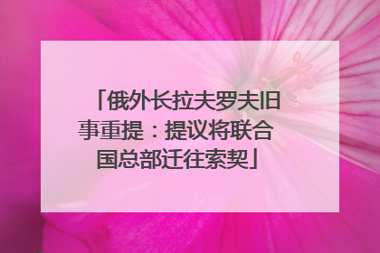 俄外长拉夫罗夫旧事重提：提议将联合国总部迁往索契