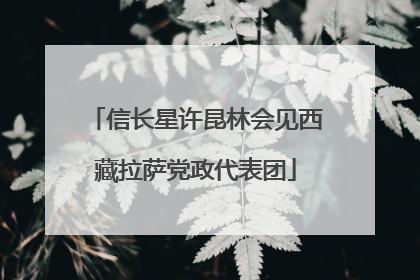 信长星许昆林会见西藏拉萨党政代表团