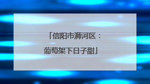 信阳市浉河区：葡萄架下日子甜