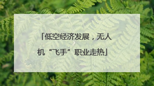 低空经济发展，无人机“飞手”职业走热