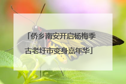 侨乡南安开启杨梅季 古老圩市变身嘉年华