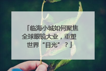 临海小城如何聚焦全球眼镜大业，重塑世界“目光”？