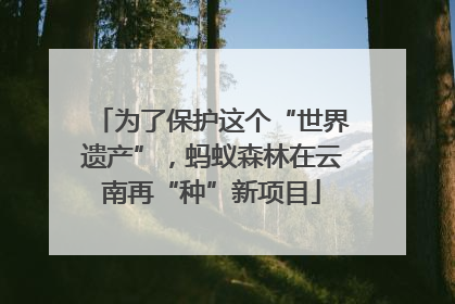 为了保护这个“世界遗产”，蚂蚁森林在云南再“种”新项目