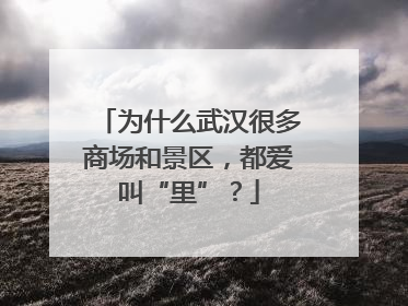 为什么武汉很多商场和景区，都爱叫“里”？