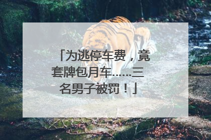为逃停车费，竟套牌包月车……三名男子被罚！