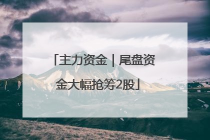 主力资金｜尾盘资金大幅抢筹2股