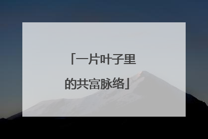 一片叶子里的共富脉络