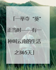 一举夺“葵”正当时——有一种叫云南的生活之365天