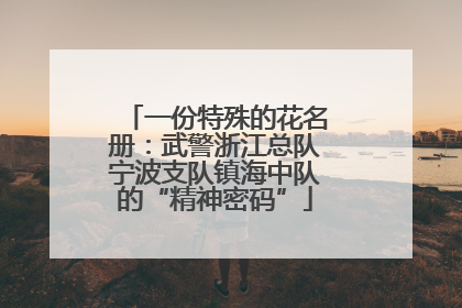 一份特殊的花名册：武警浙江总队宁波支队镇海中队的“精神密码”