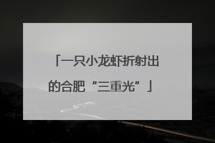 一只小龙虾折射出的合肥“三重光”