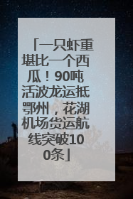 一只虾重堪比一个西瓜！90吨活波龙运抵鄂州，花湖机场货运航线突破100条