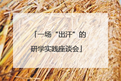 一场“出汗”的研学实践座谈会