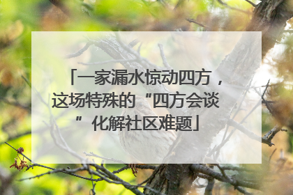 一家漏水惊动四方，这场特殊的“四方会谈”化解社区难题