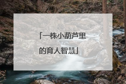 一株小葫芦里的育人智慧