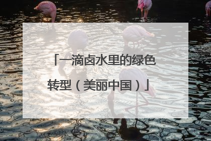 一滴卤水里的绿色转型（美丽中国）