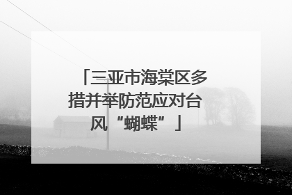 三亚市海棠区多措并举防范应对台风“蝴蝶”