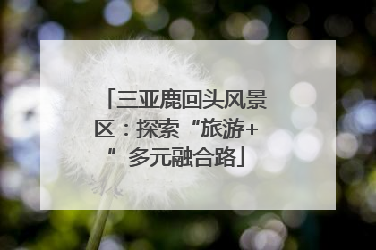 三亚鹿回头风景区：探索“旅游+”多元融合路