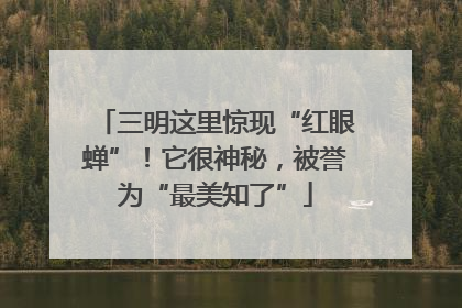 三明这里惊现“红眼蝉”！它很神秘，被誉为“最美知了”