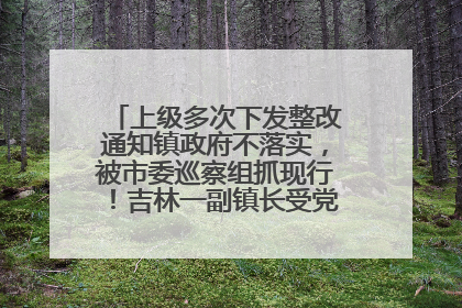上级多次下发整改通知镇政府不落实，被市委巡察组抓现行！吉林一副镇长受党内警告处分