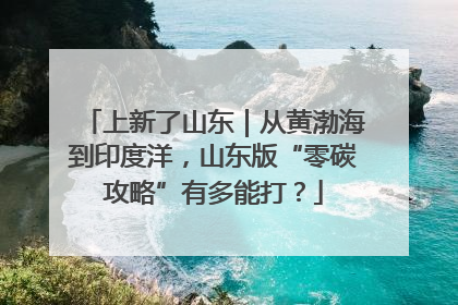 上新了山东｜从黄渤海到印度洋，山东版“零碳攻略”有多能打？