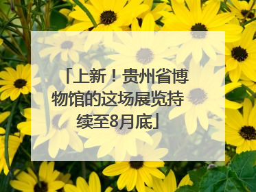 上新！贵州省博物馆的这场展览持续至8月底