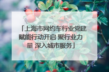 上海市网约车行业党建赋能行动开启 聚行业力量 深入城市服务